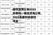 潍坊滨海公有2022年债权，潍坊滨海公有2022年债权收益权项目