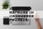 2023年汝阳城建债权资产转让项目（2023年汝阳城建债权资产转让项目公告）