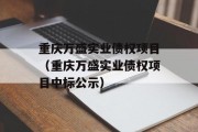 重庆万盛实业债权项目（重庆万盛实业债权项目中标公示）