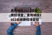 青州城投2022应收债权项目，青州城投2022应收债权项目招标