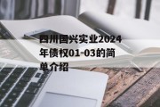 四川国兴实业2024年债权01-03的简单介绍