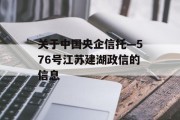 关于中国央企信托—576号江苏建湖政信的信息