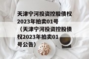 天津宁河投资控股债权2023年拍卖01号（天津宁河投资控股债权2023年拍卖01号公告）