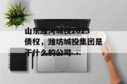 山东潍河城投2023债权，潍坊城投集团是干什么的公司