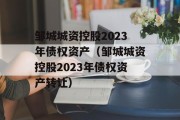 邹城城资控股2023年债权资产（邹城城资控股2023年债权资产转让）