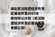 湖北武汉阳逻经济开发区建设开发2023年债权转让计划（武汉阳逻经济开发区建设开发有限公司）