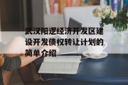 武汉阳逻经济开发区建设开发债权转让计划的简单介绍