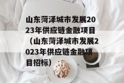 山东菏泽城市发展2023年供应链金融项目（山东菏泽城市发展2023年供应链金融项目招标）