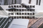 山东寿光市滨海远景城镇建设开发债权收益权计划（寿光市滨海远景城镇建设开发有限公司）