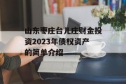 山东枣庄台儿庄财金投资2023年债权资产的简单介绍