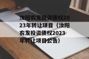 汝阳农发投资债权2023年转让项目（汝阳农发投资债权2023年转让项目公告）