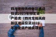 四川龙阳天府新区建设投资2023年特定资产拍卖（四川龙阳天府新区建设投资2023年特定资产拍卖项目）