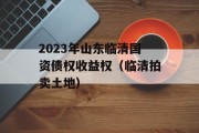 2023年山东临清国资债权收益权（临清拍卖土地）