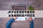 关于山东滨州市惠滨实业发展债权资产的信息