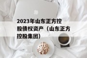 2023年山东正方控股债权资产（山东正方控股集团）