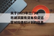 关于2023年三门峡市湖滨国有资本投资运营城投债权计划的信息