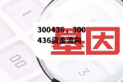 300436，300436资金流向