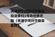 天津市宁河区兴宁建设投资债权1号政府债定融（天津宁河兴宁投资集团）