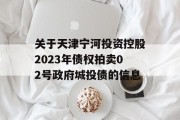 关于天津宁河投资控股2023年债权拍卖02号政府城投债的信息