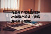 青岛海科控股债权2024年资产转让（青岛海科集团招聘）