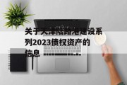 关于天津陆路港建设系列2023债权资产的信息