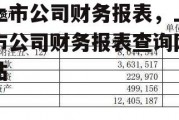 上市公司财务报表，上市公司财务报表查询网站