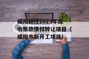 咸阳新控2023年应收账款债权转让项目（咸阳市新开工项目）