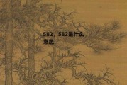 582，582是什么意思