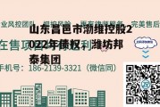 山东昌邑市渤维控股2022年债权，潍坊邦泰集团