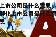 上市公司是什么意思，孵化上市公司是什么意思