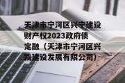 天津市宁河区兴宁建设财产权2023政府债定融（天津市宁河区兴凯建设发展有限公司）