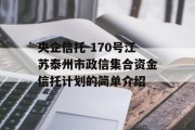 央企信托-170号江苏泰州市政信集合资金信托计划的简单介绍