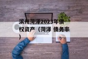 滨州菏泽2023年债权资产（菏泽 债务率）