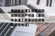 重庆市金潼工业建设投资债权资产项目（重庆市金潼工业建设投资有限公司电话）