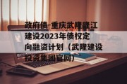 政府债-重庆武隆隆江建设2023年债权定向融资计划（武隆建设投资集团官网）