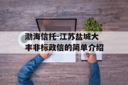 渤海信托-江苏盐城大丰非标政信的简单介绍