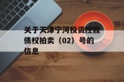 关于天津宁河投资控股债权拍卖（02）号的信息