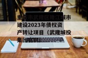 重庆市武隆区隆江城市建设2023年债权资产转让项目（武隆城投集团官网）