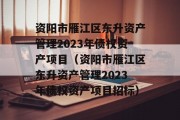 资阳市雁江区东升资产管理2023年债权资产项目（资阳市雁江区东升资产管理2023年债权资产项目招标）