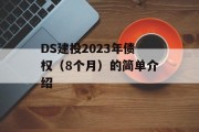 DS建投2023年债权（8个月）的简单介绍