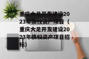 重庆大足开发建设2023年债权资产项目（重庆大足开发建设2023年债权资产项目招标）