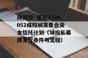 陕国投·星石2304052咸阳城发集合资金信托计划（城投私募债发行条件与流程）