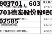 603701，603701德宏股份股吧002585