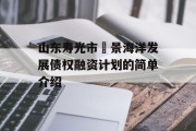 山东寿光市昇景海洋发展债权融资计划的简单介绍