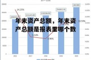 年末资产总额，年末资产总额是报表里哪个数