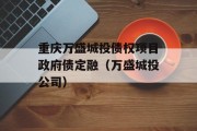 重庆万盛城投债权项目政府债定融（万盛城投公司）