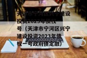 天津市宁河区兴宁建设投资2023年债权一号（天津市宁河区兴宁建设投资2023年债权一号政府债定融）