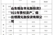 山东烟台市元融投资2022年债权资产，烟台栖霞元融投资有限公司