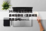 2023年山东日照莒县城投债权（莒县城投是国企吗）