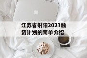 江苏省射阳2023融资计划的简单介绍